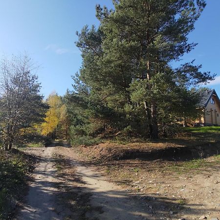 Mazurska Bania U Pana Szeptuna - Drewniany Dom Na Skraju Lasu Lidzbark Welski Exterior photo